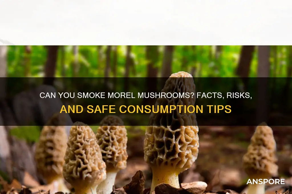can u smoke moreal mushrooms