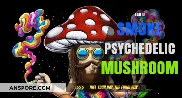 Smoking Psychedelic Mushrooms: Risks, Effects, and Safer Alternatives Explained