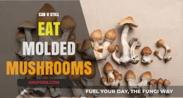 Moldy Mushrooms: Safe to Eat or Toss? Expert Advice