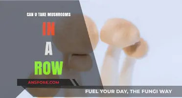 Consecutive Mushroom Consumption: Risks and Considerations for Safe Usage