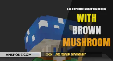 Upgrading Mushroom Minions: Brown Mushrooms Compatibility Guide