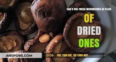 Fresh vs. Dried Mushrooms: Can You Substitute in Recipes?