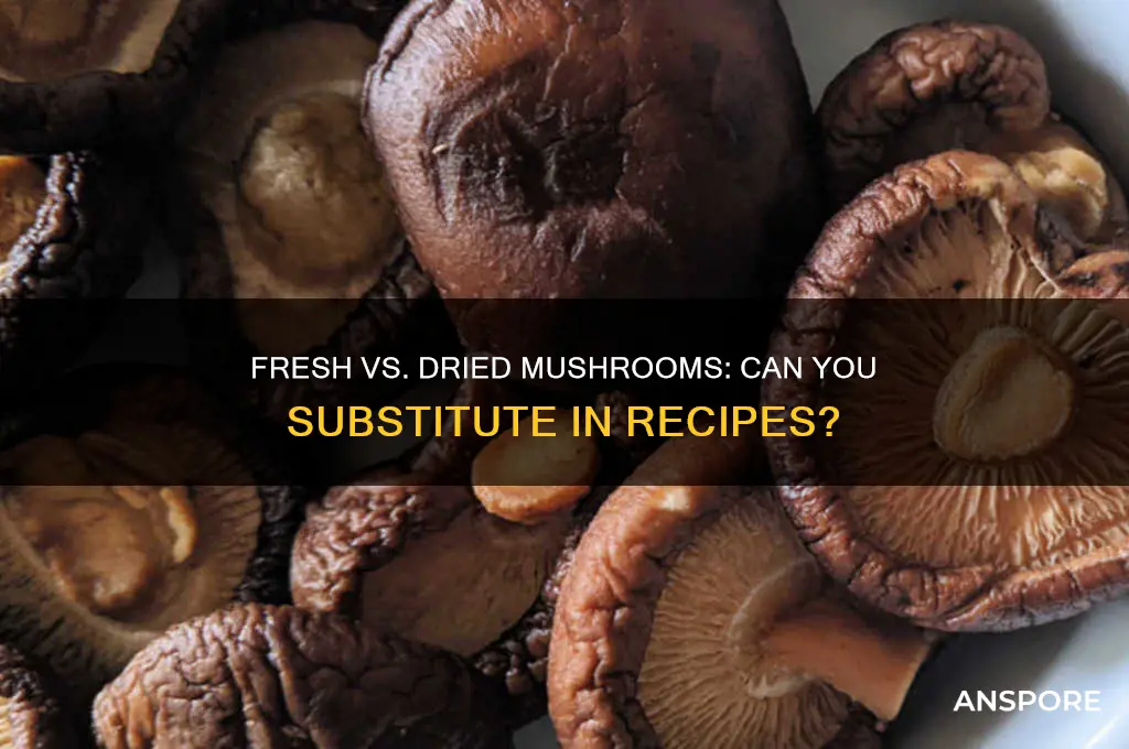 can u use fresh mushrooms in place of dried ones