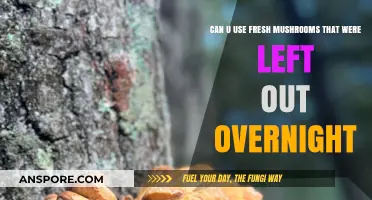 Overnight Mushroom Safety: Can You Still Use Fresh Mushrooms Left Out?