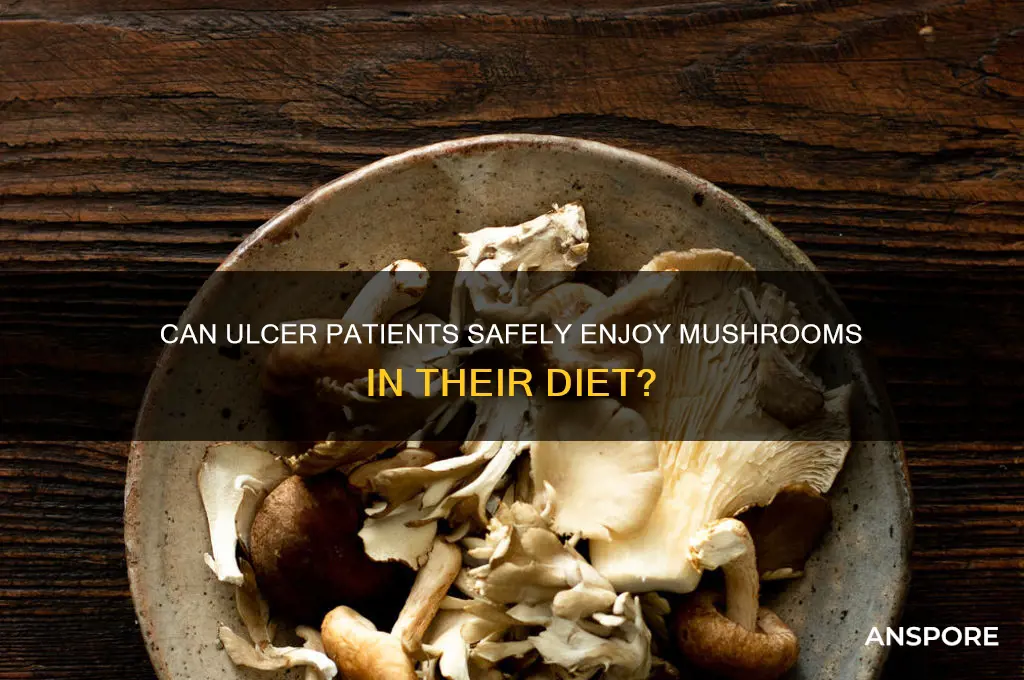 can ulcer patient eat mushroom