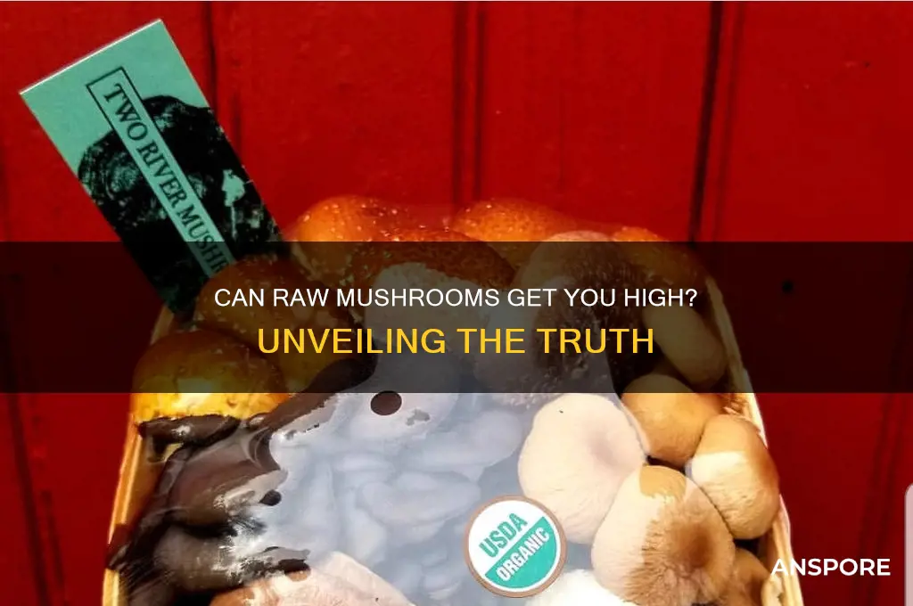 can uncooked mushroom nakes you high