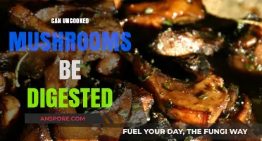 Can Your Stomach Handle Raw Mushrooms? Digestibility Explained