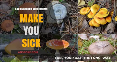 Uncooked Mushrooms: Potential Risks and Health Concerns Explained