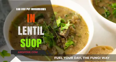 Mushrooms in Lentil Soup: A Flavorful Addition or Culinary Mistake?