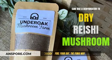 Dehydrating Reishi Mushrooms: A Simple Guide to Preserving Their Benefits