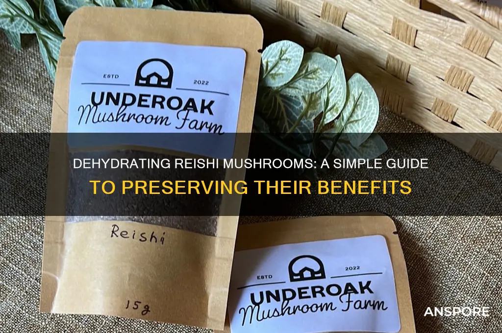 can use a dehydrator to dry reishi mushrooms