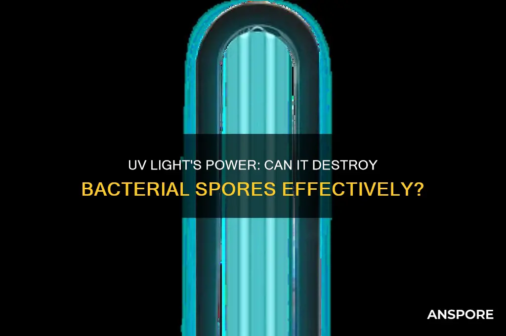 can uv light destroy bacterial spores