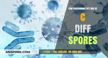 Can Vacuuming Eliminate C. Diff Spores? Effective Cleaning Tips