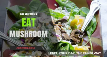 Are Mushrooms Vegetarian? Exploring Fungi in Plant-Based Diets