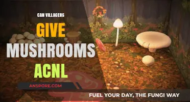 Do Villagers Share Mushrooms in Animal Crossing: New Leaf?