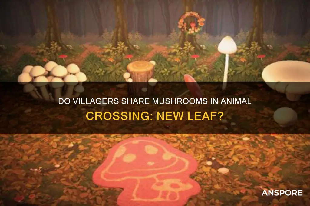 can villagers give mushrooms acnl