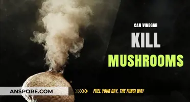 Can Vinegar Effectively Kill Mushrooms? A Natural Solution Explored