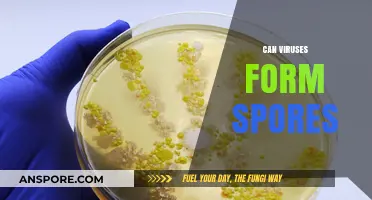 Do Viruses Form Spores? Unraveling the Survival Strategies of Microbes