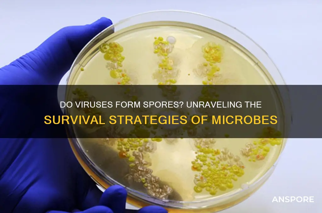 can viruses form spores