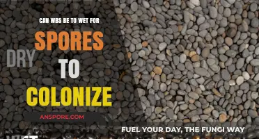 Can Wet Bulk Substrate Conditions Inhibit Spores Colonization?