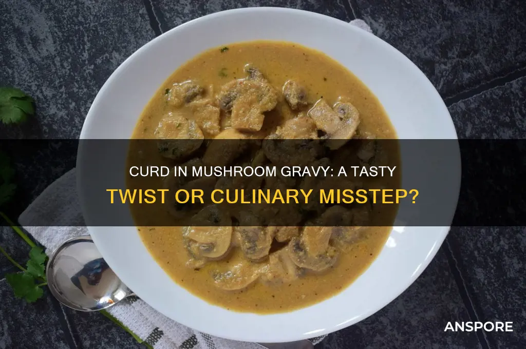 can we add curd in mushroom gravy