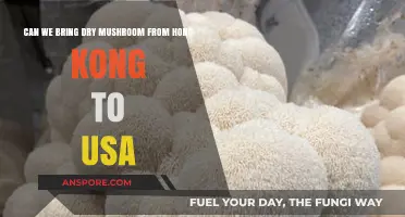 Bringing Dry Mushrooms from Hong Kong to the USA: Legal Guide