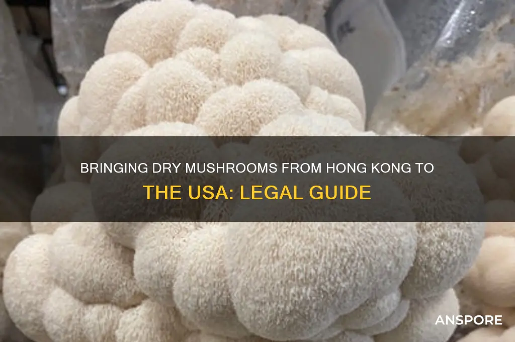 can we bring dry mushroom from hong kong to usa