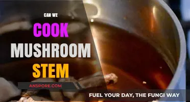 Can We Cook Mushroom Stems? Delicious Recipes and Tips Revealed