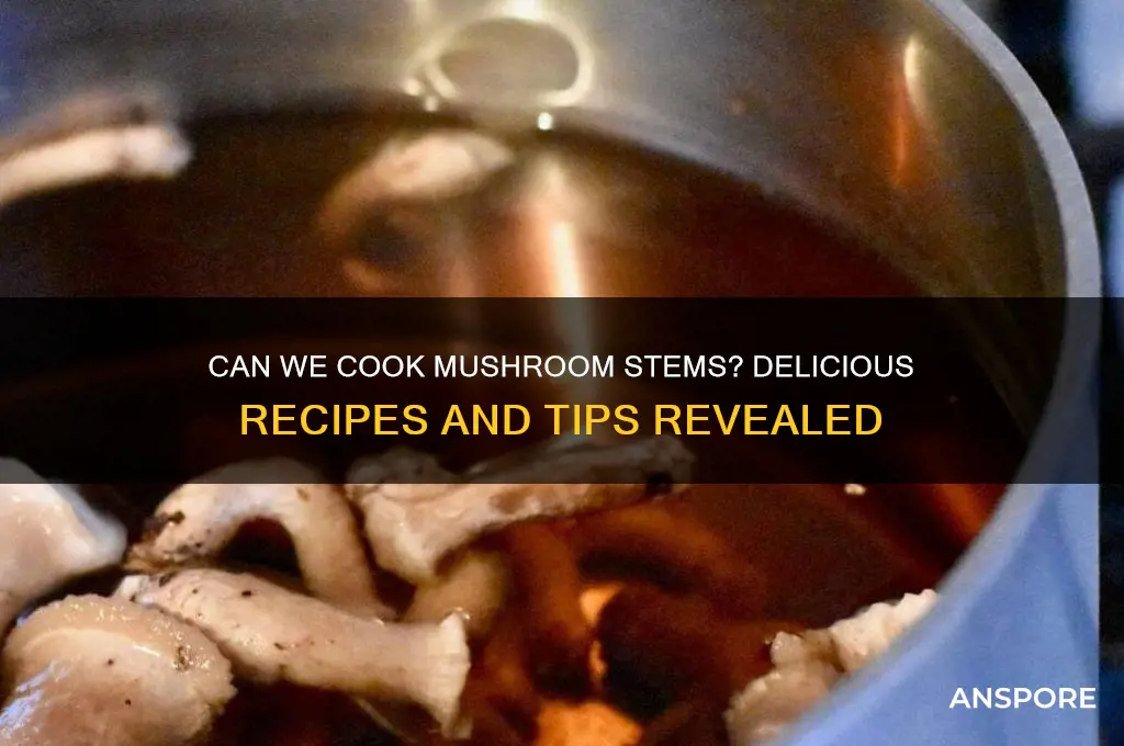 can we cook mushroom stem
