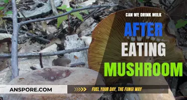 Mushrooms and Milk: Safe to Combine or Risky Mix?