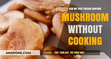 Can You Eat Fresh Shiitake Mushrooms Raw? Safety Tips Revealed