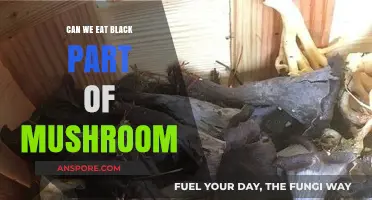 Can We Eat the Black Part of a Mushroom? Facts Revealed