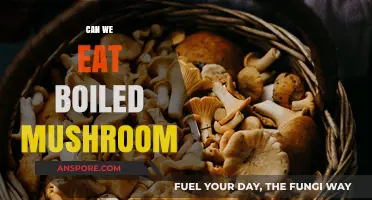Can We Eat Boiled Mushrooms? Benefits, Risks, and Recipes