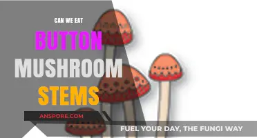 Can You Eat Button Mushroom Stems? A Tasty Truth Revealed