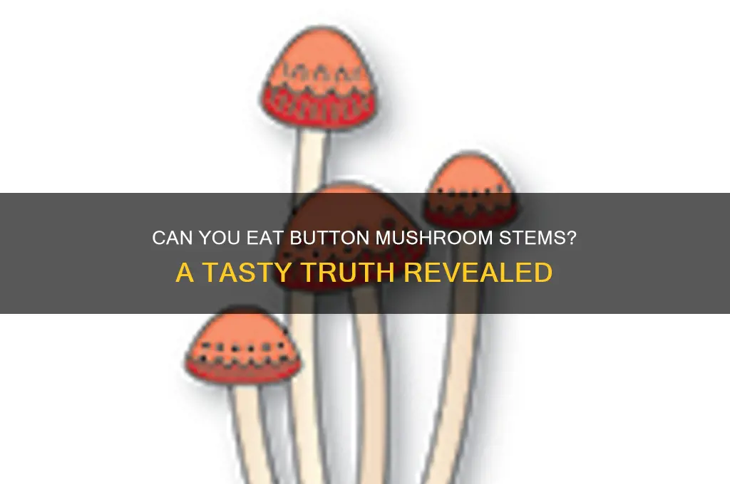 can we eat button mushroom stems
