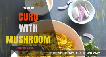 Can Curd and Mushrooms Be Eaten Together? A Healthy Pairing?