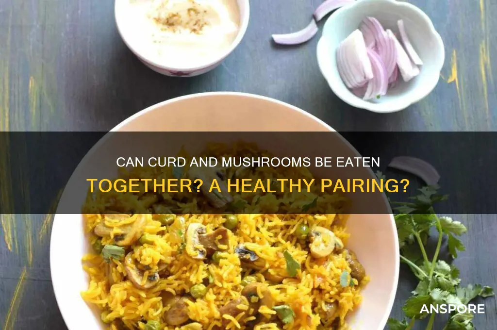 can we eat curd with mushroom