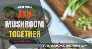 Egg and Mushroom Combo: A Nutritious Pairing or Culinary Clash?