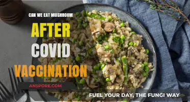 Mushrooms Post-COVID Vaccine: Safe to Eat or Best Avoided?