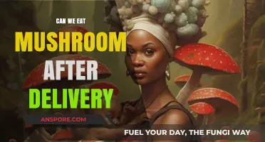 Postpartum Nutrition: Is It Safe to Eat Mushrooms After Delivery?