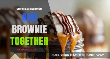 Mushroom and Brownie Combo: Safe, Tasty, or Risky Pairing?