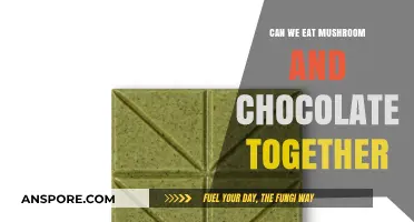 Mushroom and Chocolate: A Delicious Pairing or Culinary Misstep?
