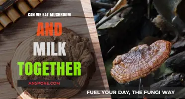 Mushroom and Milk: A Safe Culinary Pairing or Risky Combo?