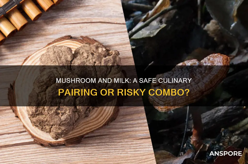 can we eat mushroom and milk together
