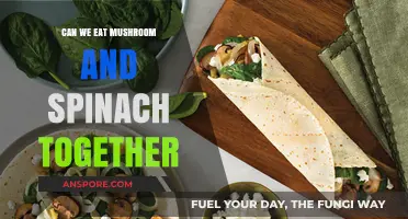 Mushroom and Spinach Combo: Safe, Nutritious, and Delicious Pairing?