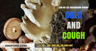 Can You Eat Mushrooms During Cold and Cough? Expert Insights