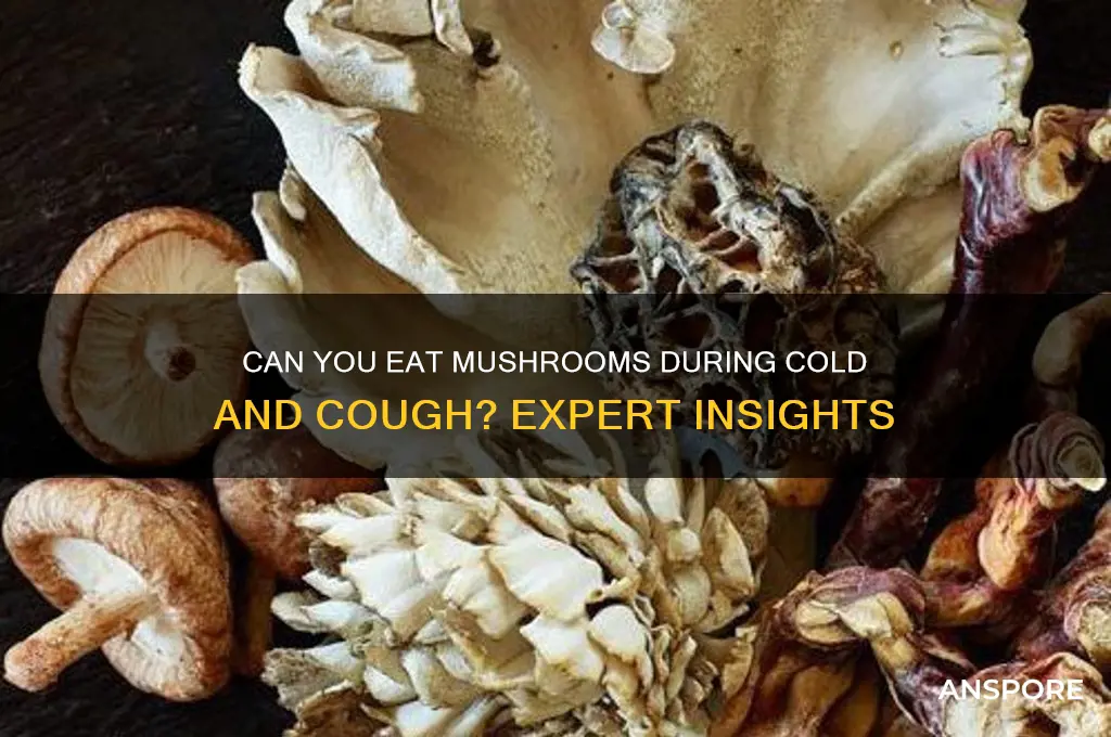 can we eat mushroom during cold and cough