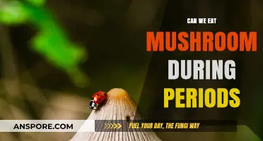 Mushrooms During Periods: Nutritional Benefits and Menstrual Health Insights