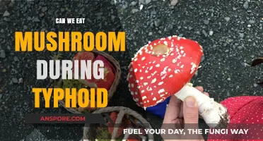 Mushrooms and Typhoid: Safe to Eat or Best Avoided?