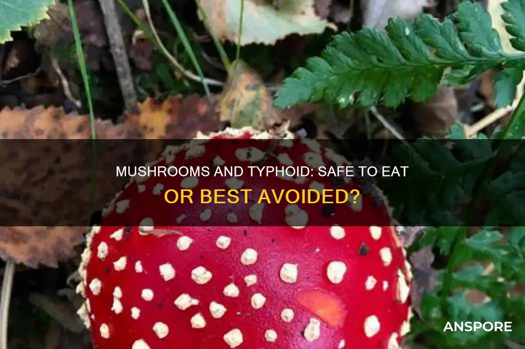 can we eat mushroom during typhoid